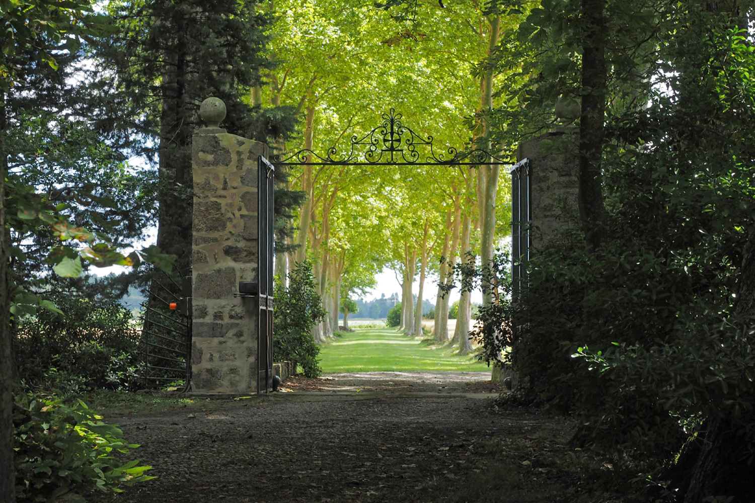Picture of property.name