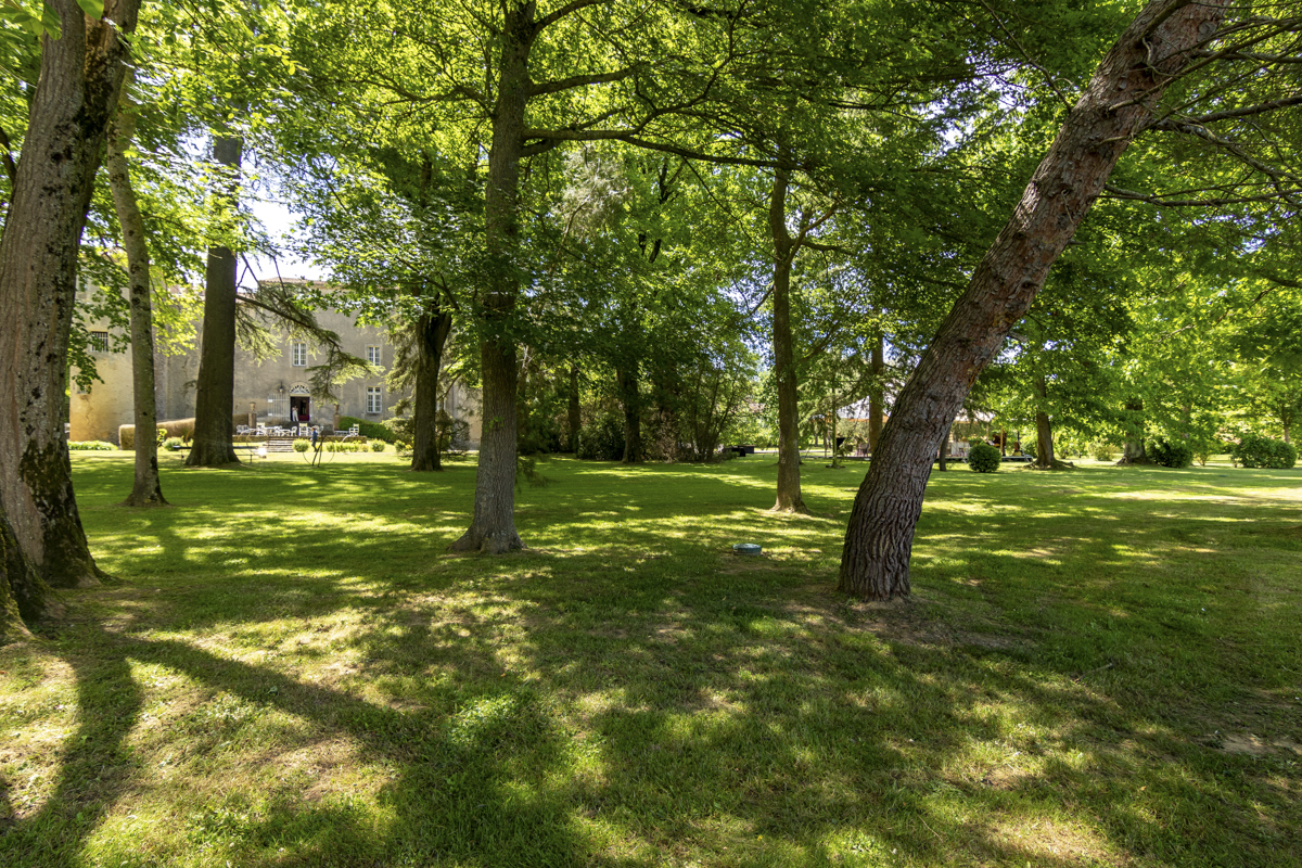Picture of property.name