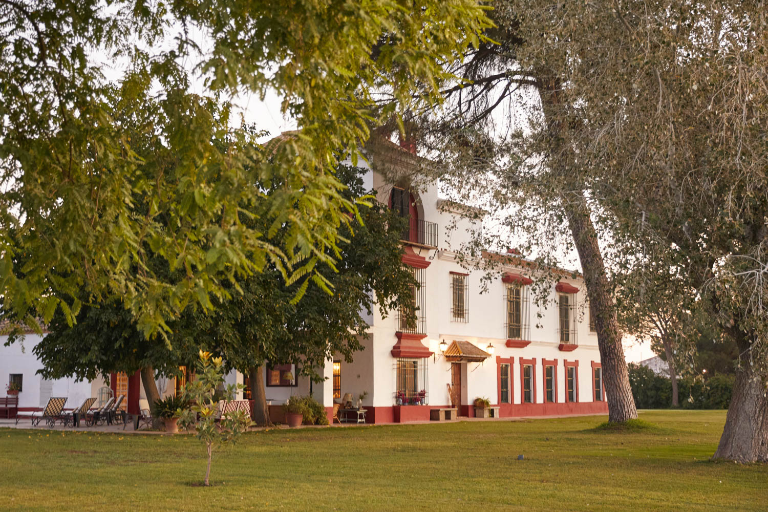 Cortijo Rocio