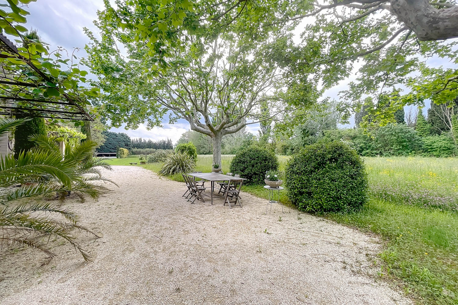 Picture of property.name