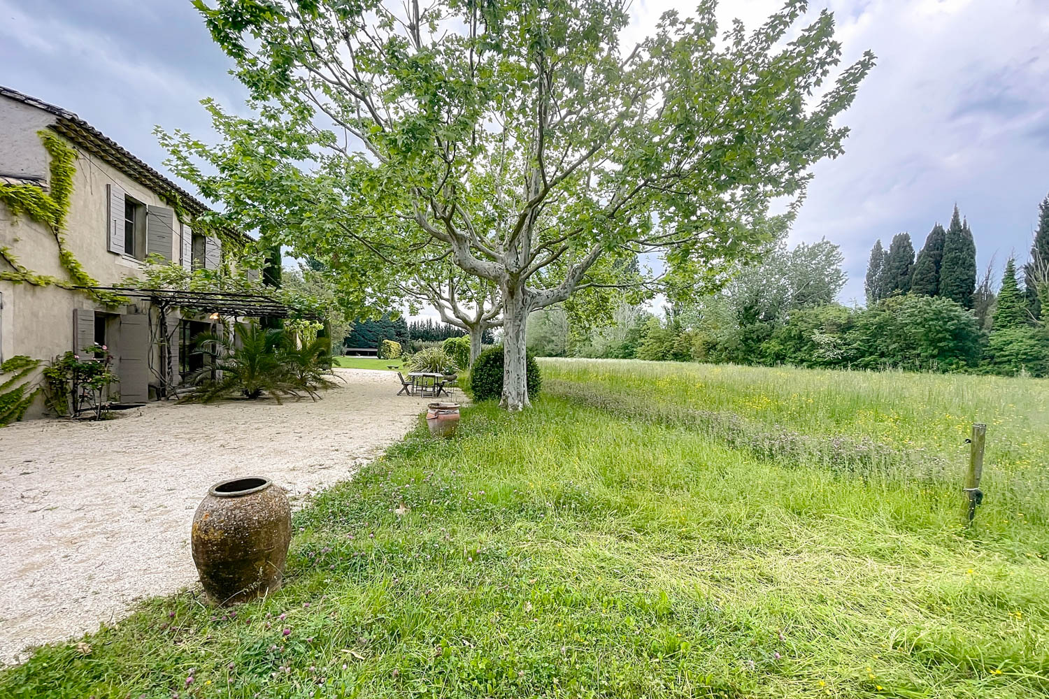 Picture of property.name