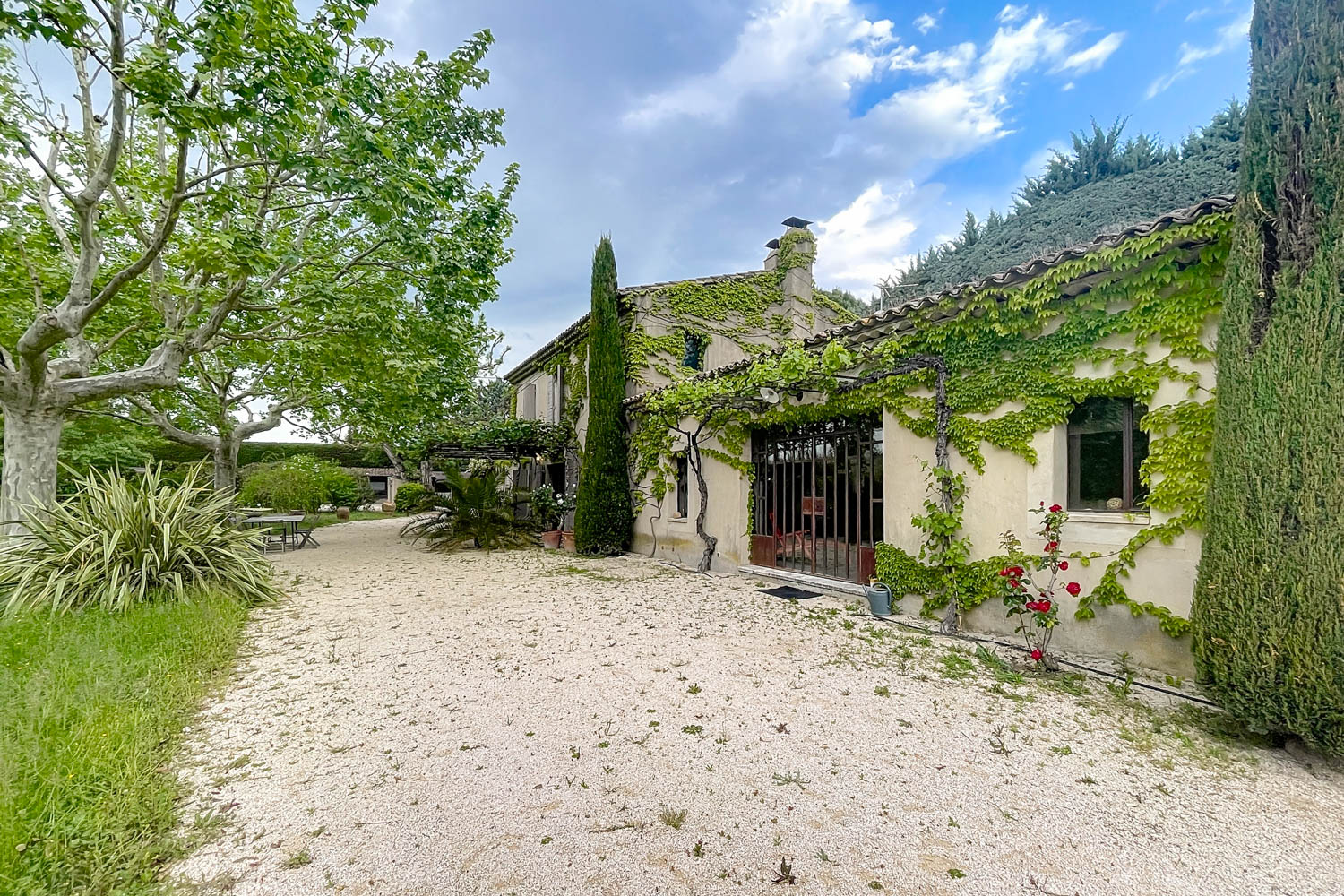 Picture of property.name