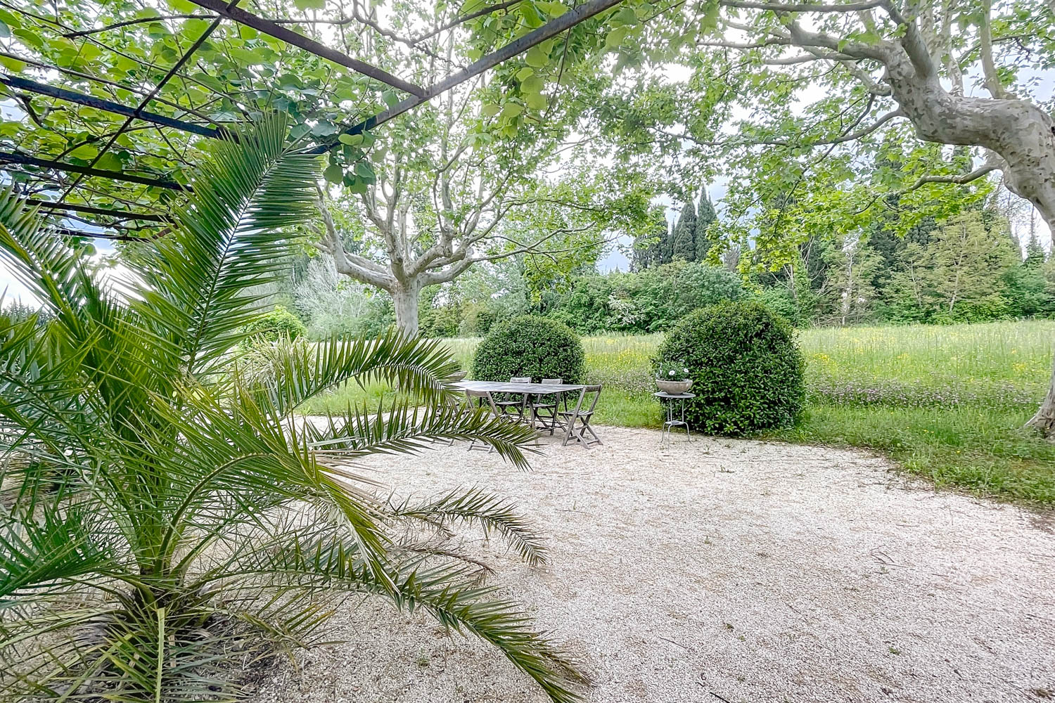 Picture of property.name
