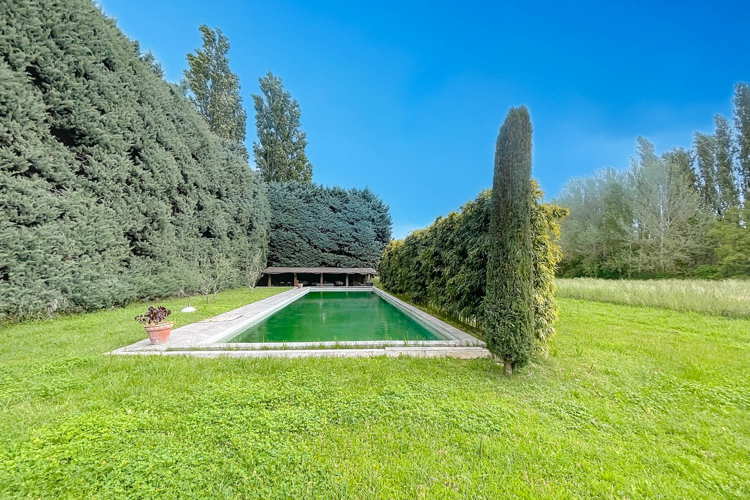 Picture of property.name