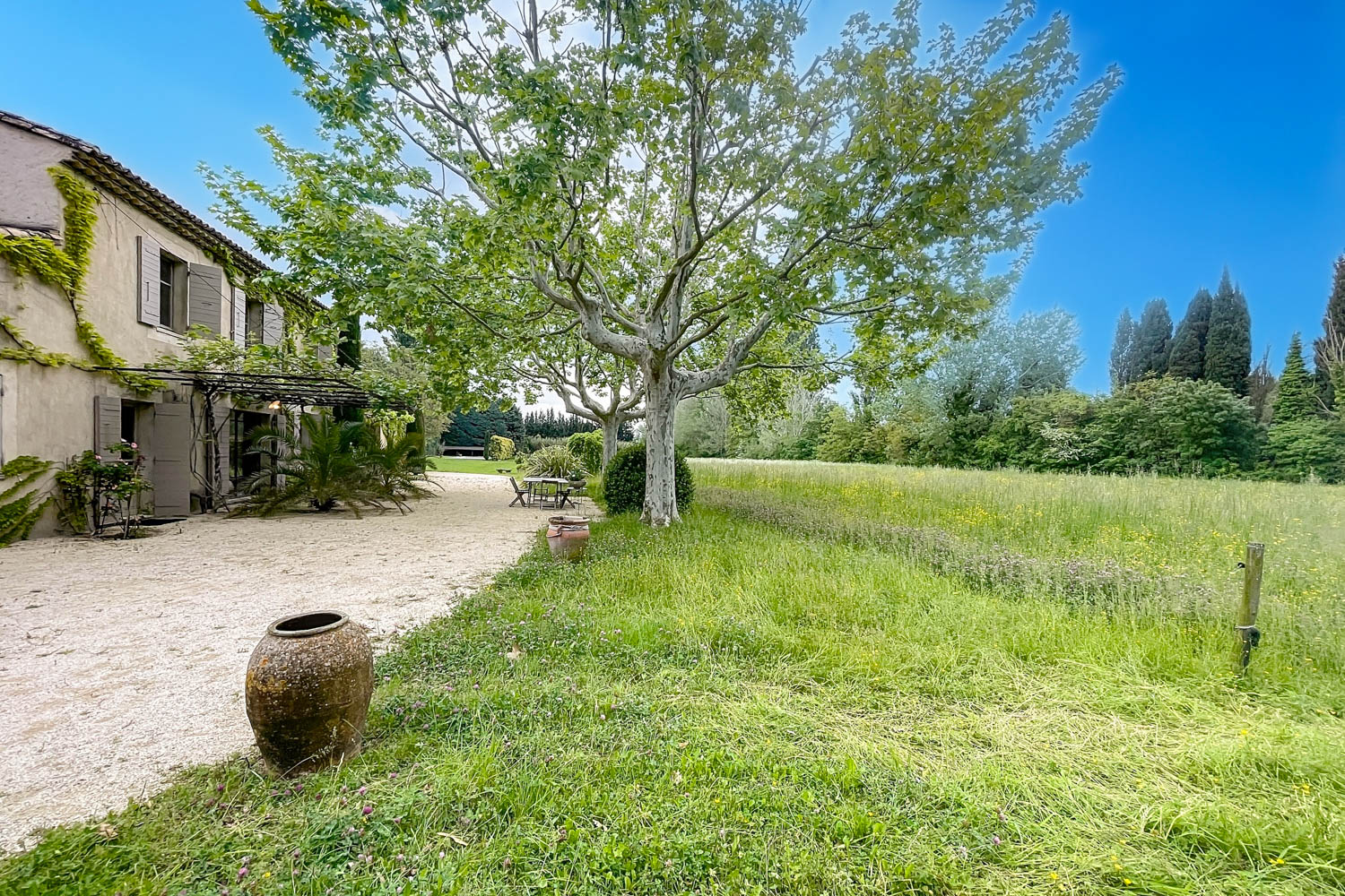 Picture of property.name
