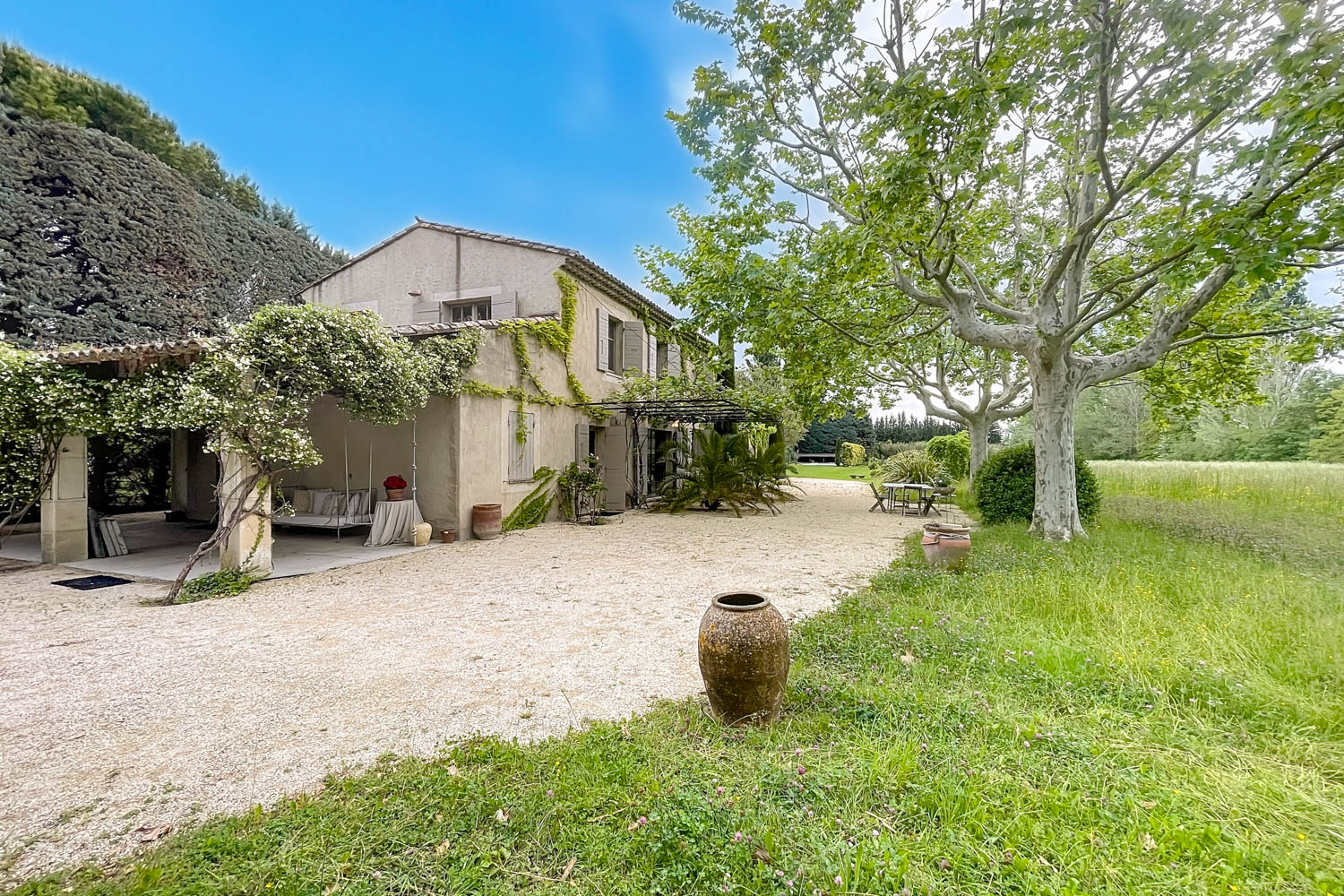 Picture of property.name
