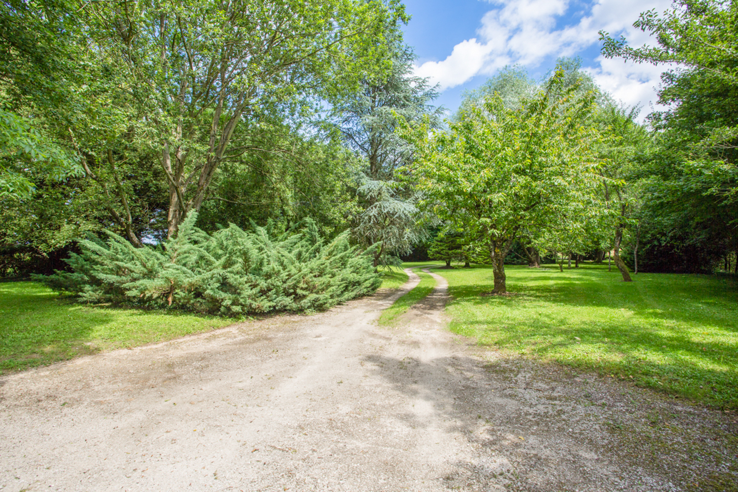 Picture of property.name