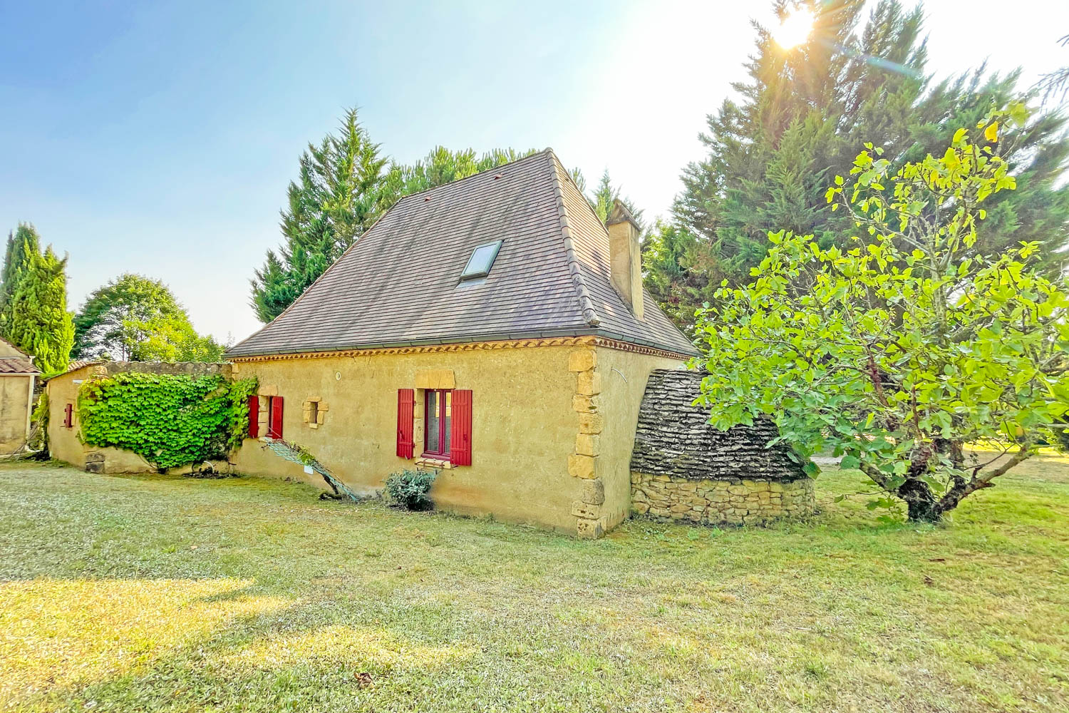 Picture of property.name