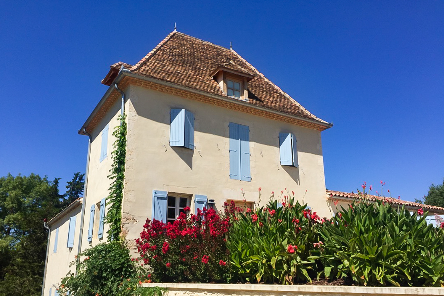 Picture of property.name