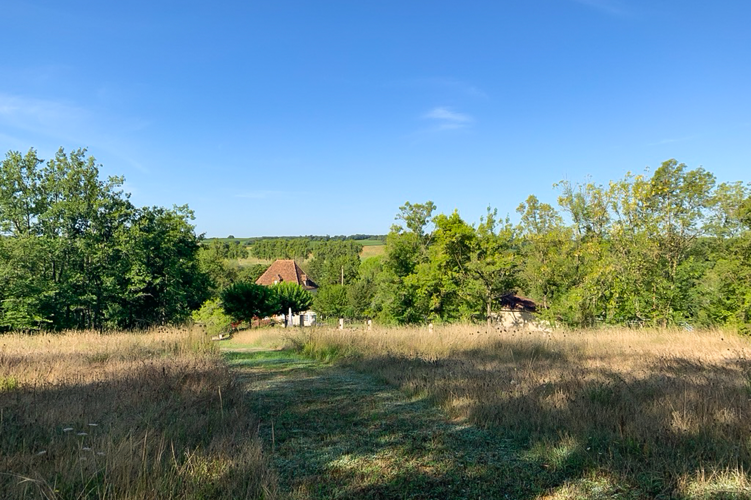 Picture of property.name