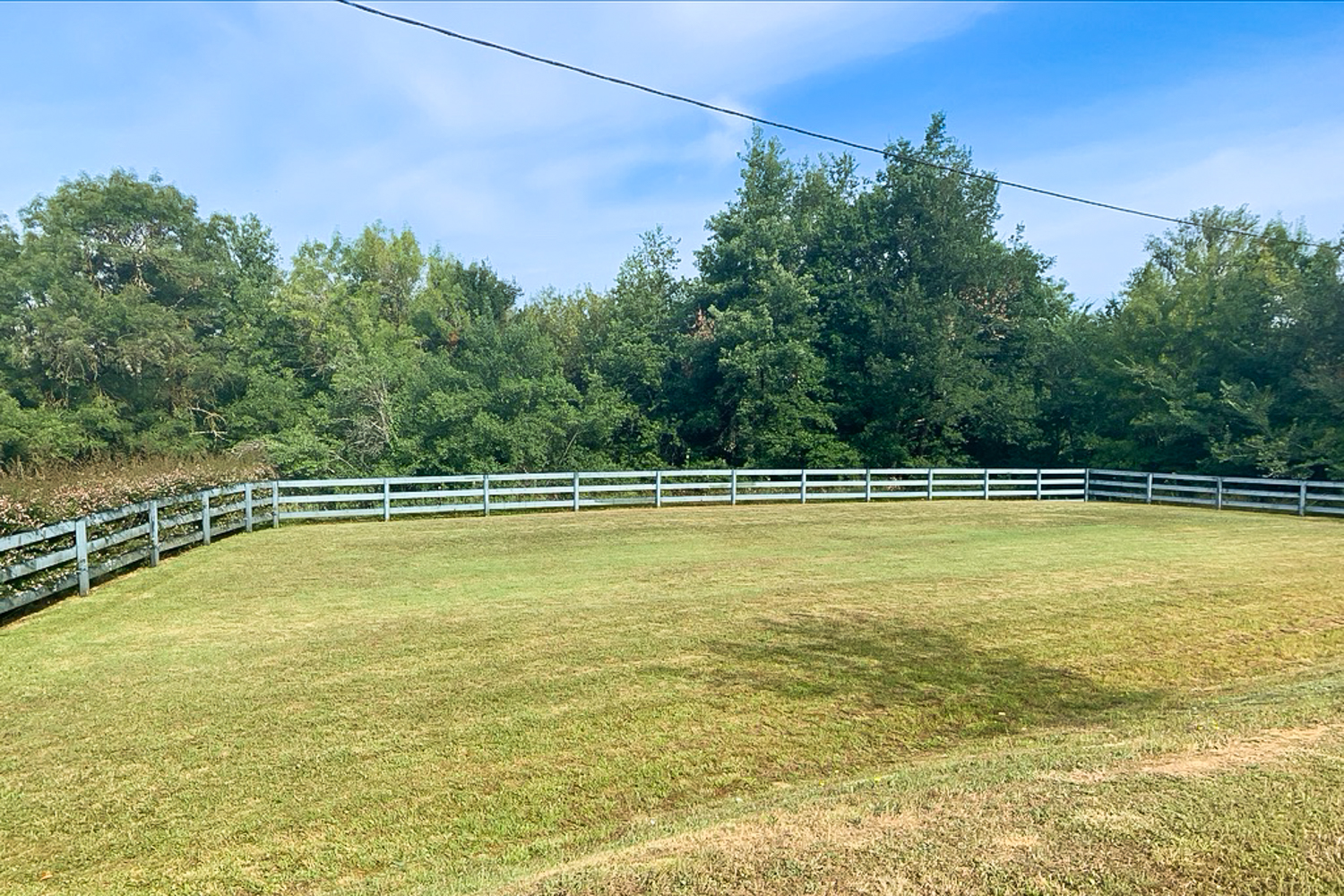 Picture of property.name