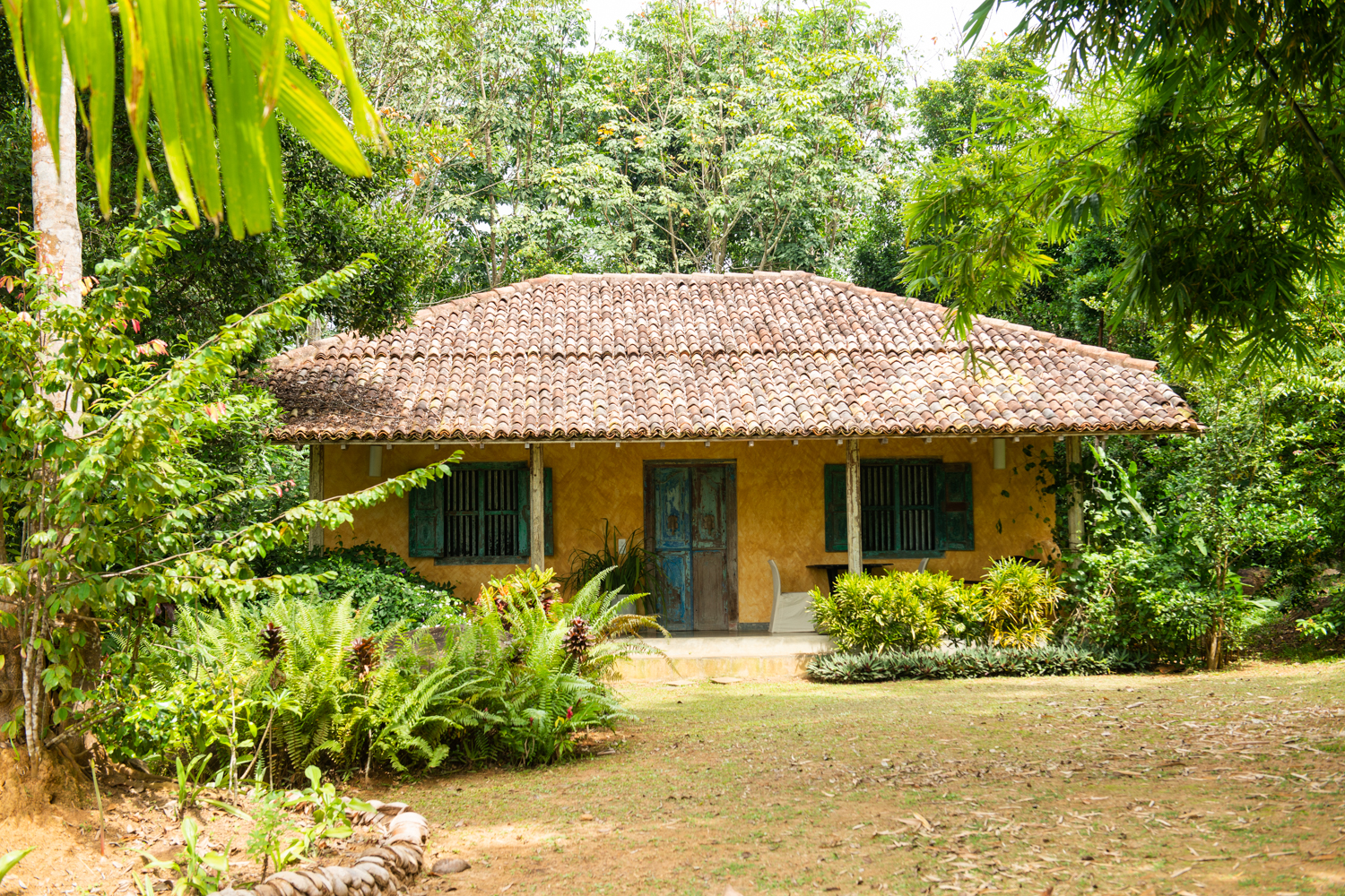 Pokkuluwa Estate