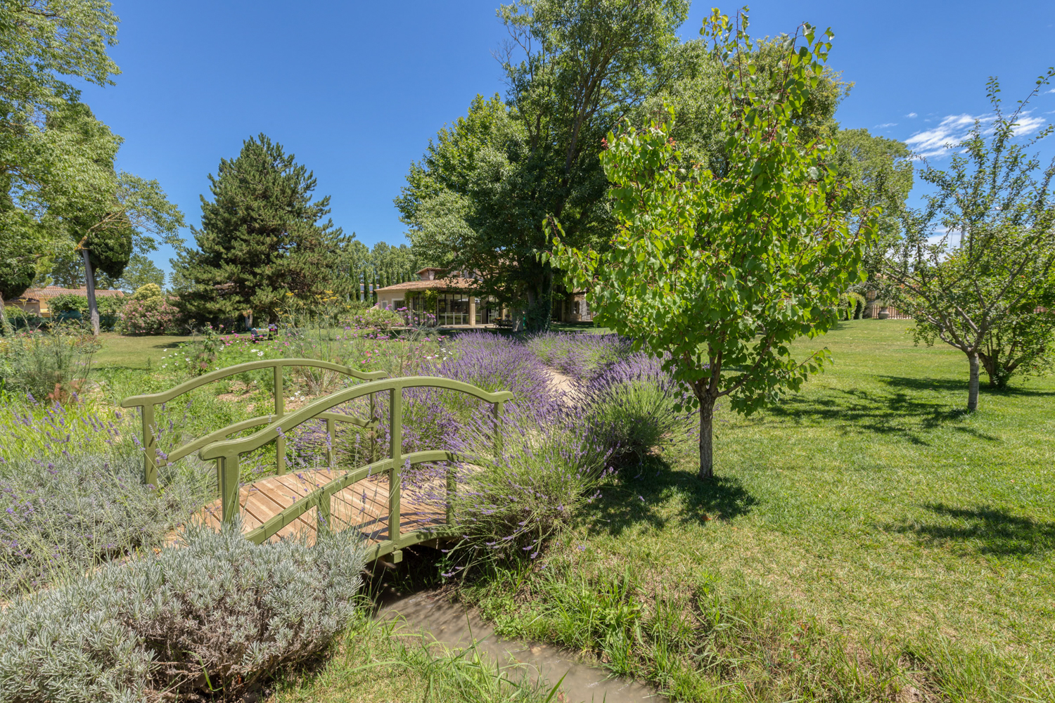 Picture of property.name