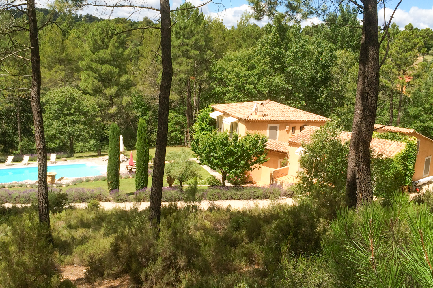 Picture of property.name