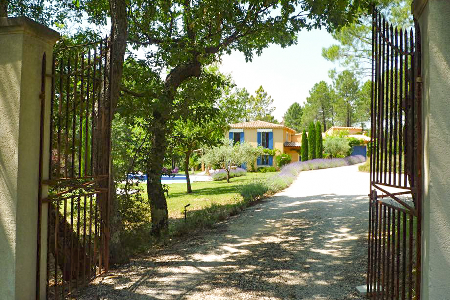 Picture of property.name