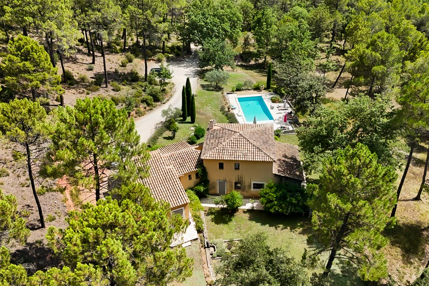 Picture of property.name